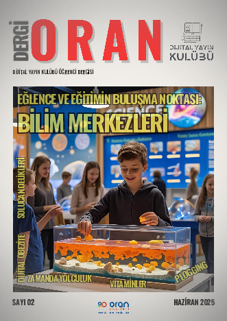 Dergi Oran 2. Sayı